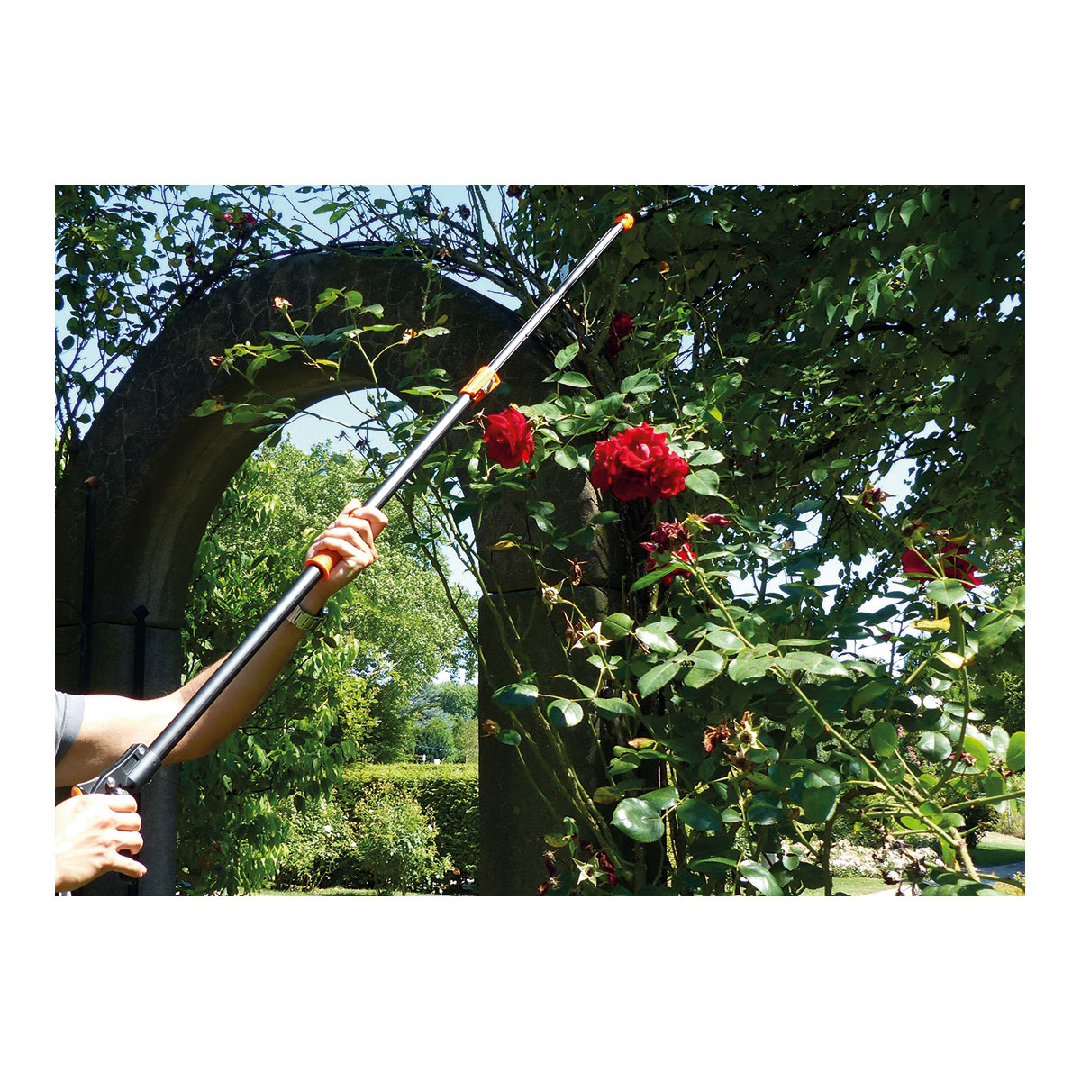 RosenKavalier Rosen-Schere, teleskopierbar