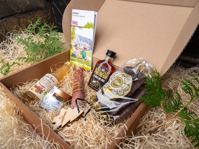 Regionalboxen - Sachsen-Anhalt