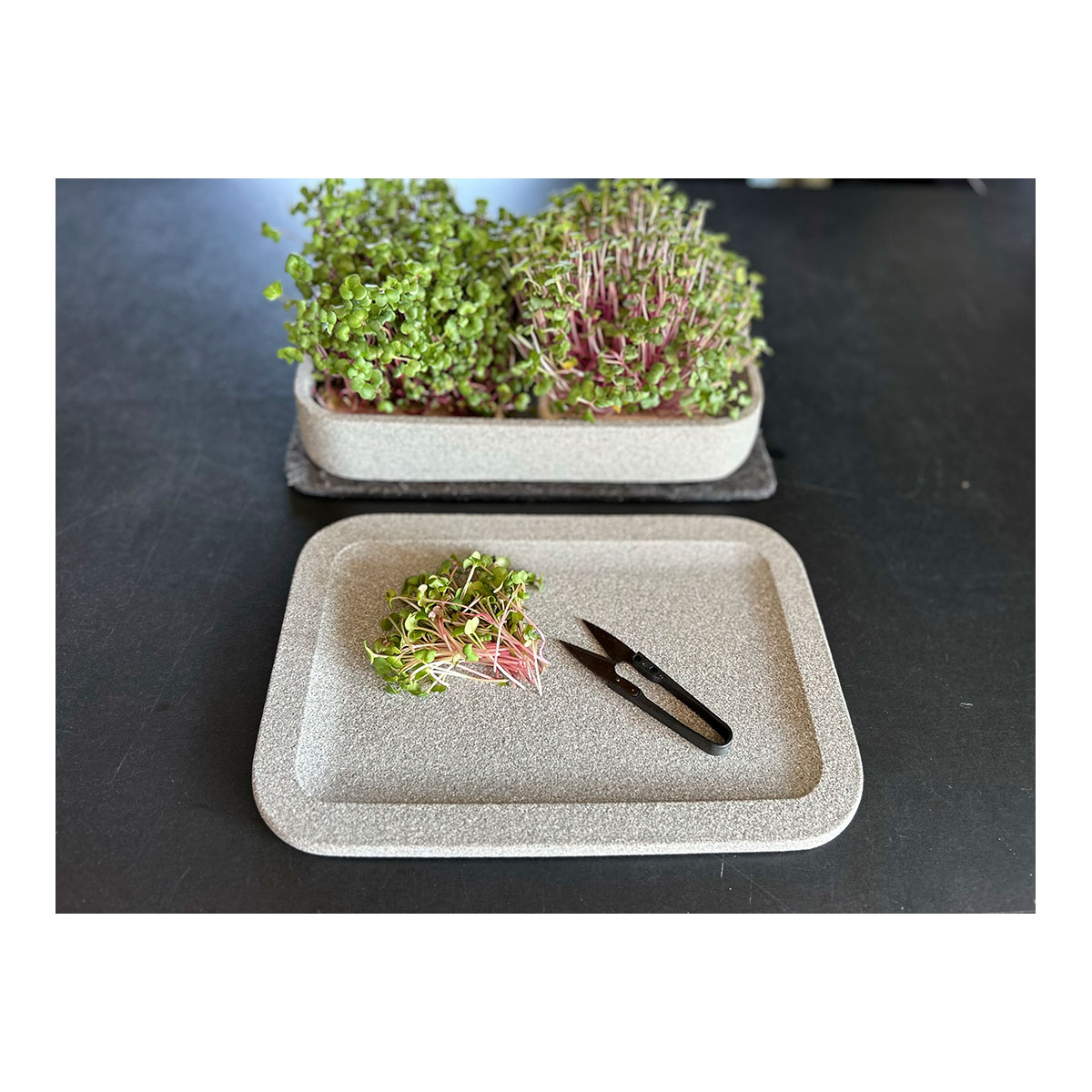 Mikrogarten XL Granicim mit Kräuterschere