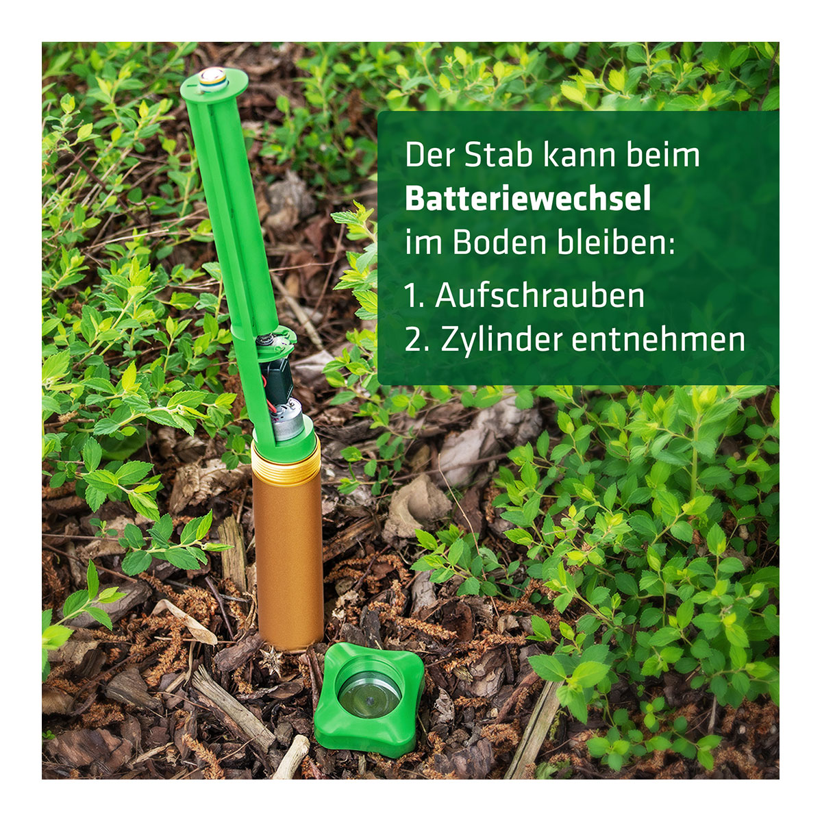 Maulwurf-Ameisen-Abwehr Deluxe