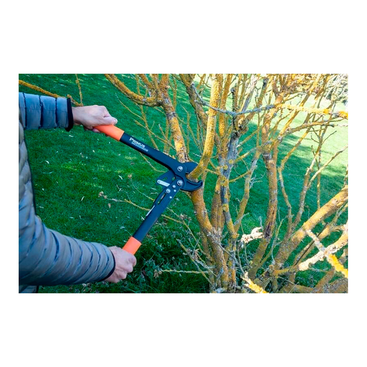  Dual-Cut-Ultraleichte Astschere