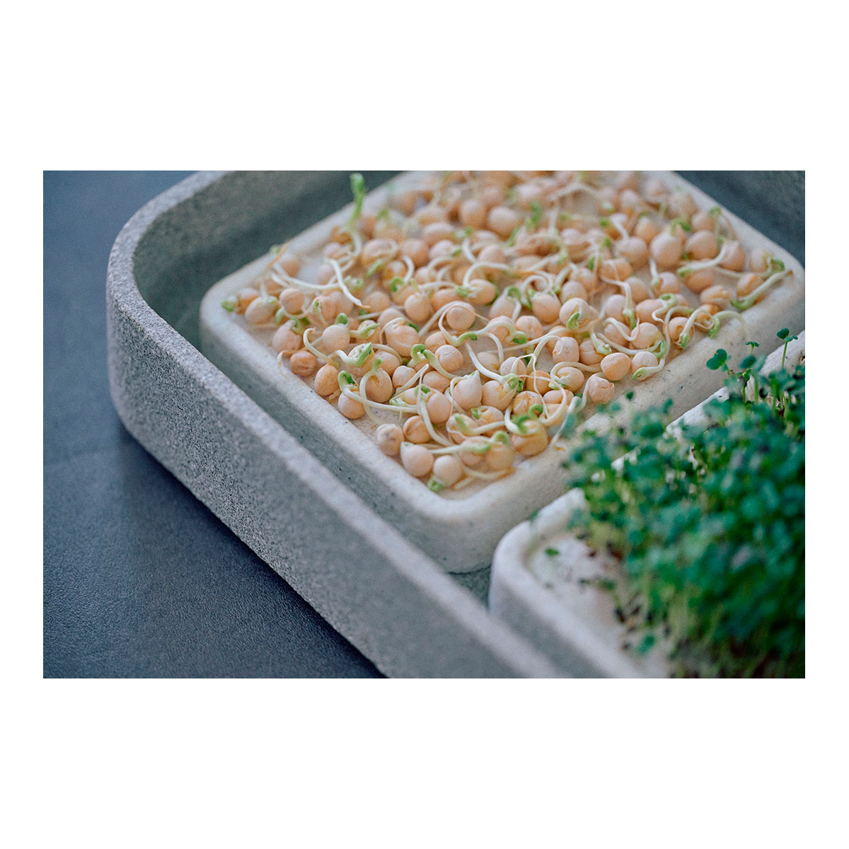 Mikrogarten XL Granicim mit Kräuterschere