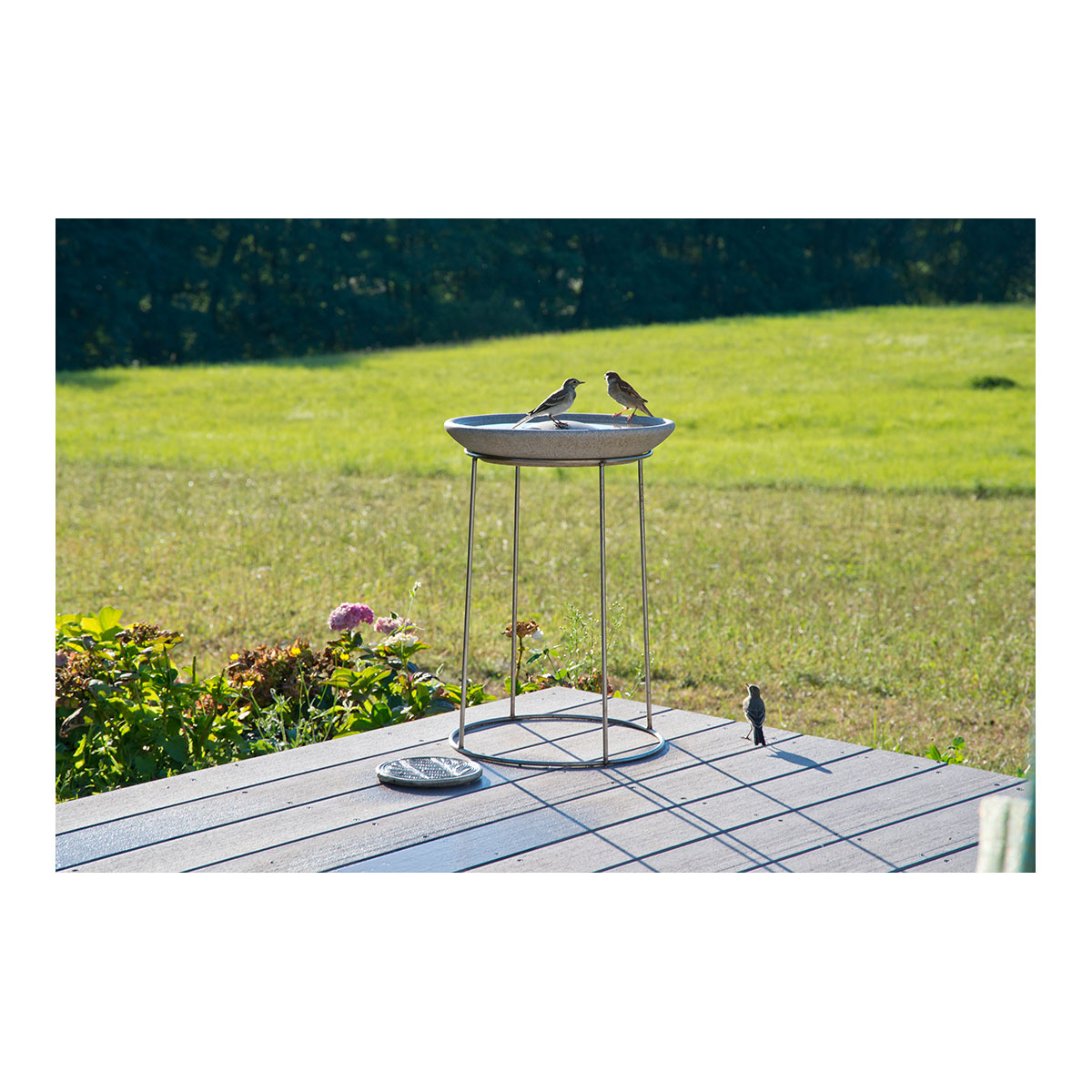 Vogeltränke Granicium mit Ständer